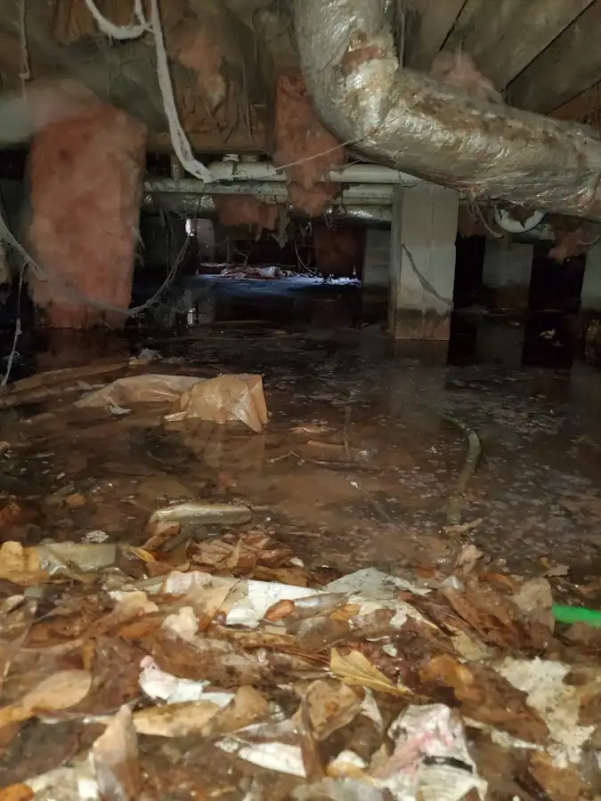 Crawl space flood assessment for Leak Detection & Repair in Ruston
